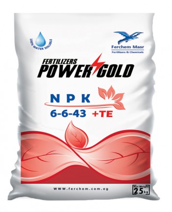 Power gold + TE